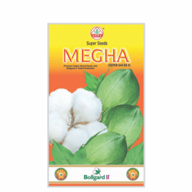 MEGHA  BG II (SUPER-544)