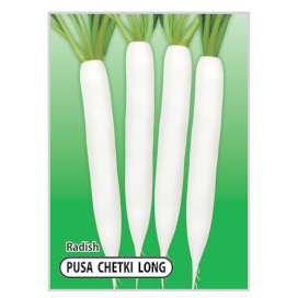PUSA  CHETKI  LONG