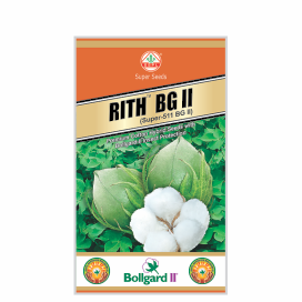 RITH  BG II (SUPER-511)