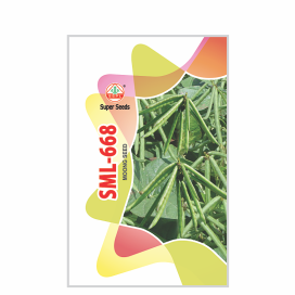 SML 668