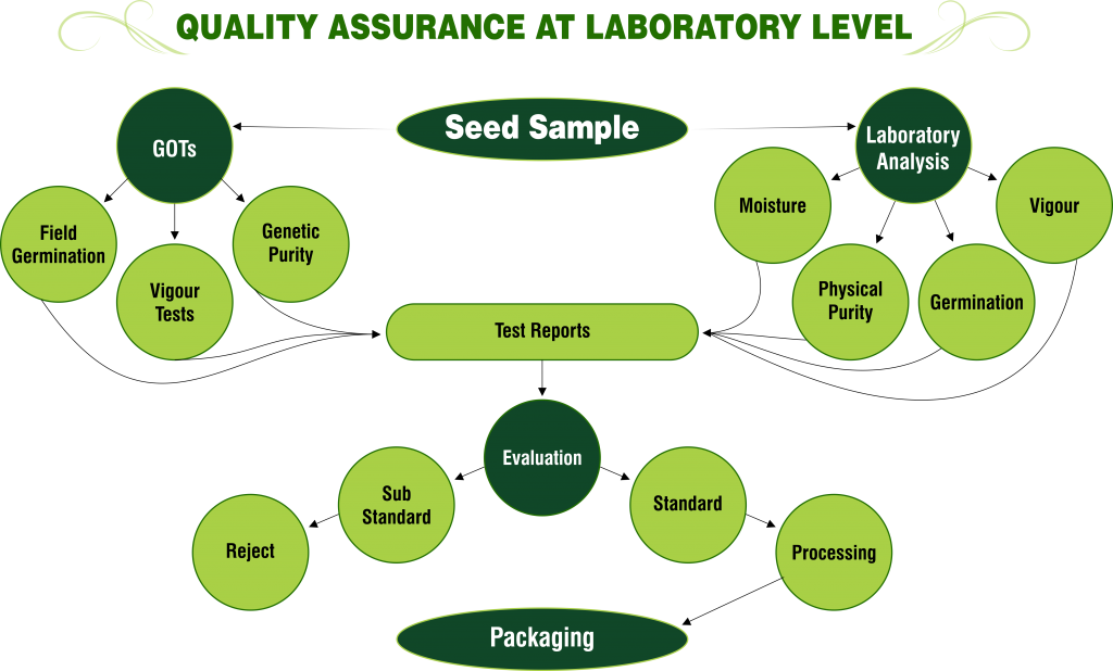 Quality Assurance Laboratory Level Super Seeds