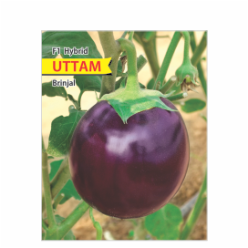 UTTAM